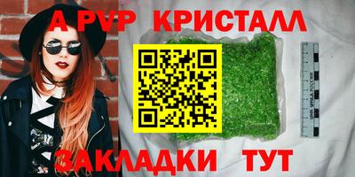 твердый Кингисепп