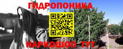 СК Кимры