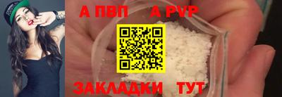 твердый Кингисепп